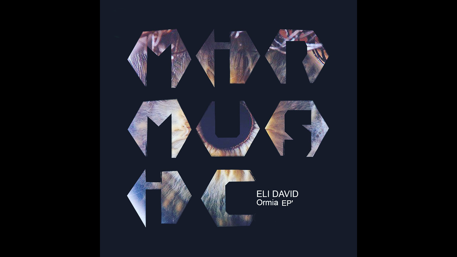 Eli David – Ormia